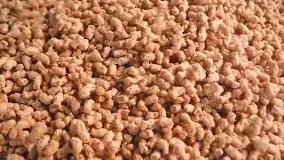 Pea protein Meat production Line Equipment/TVP Textured Vegetable Protein Machine Extrusion Process