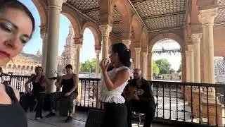#gitaneo Baile y Cante💃🏼#Arte #flamenco || Plaza de España #Sevilla || 10 min #alegrias #bulerias