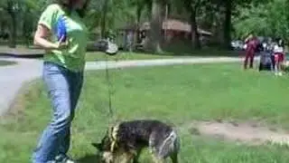 TLC Animal Shelter Walkathon 2008