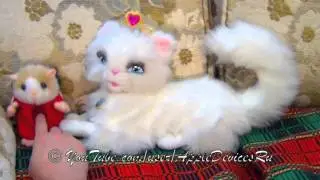 Говорящий кот + DJ Хомяк Репер