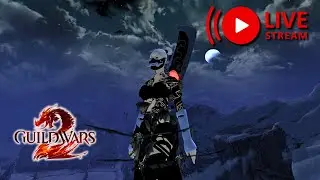 Spear Warrior Build & Gameplay | GW2 Veteran POV | Guild Wars 2