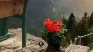Абдуллох домла 2019