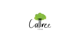 caTTree Farm วันนี้มาตัดเมล่อนที่ฟาร์มแคททรี