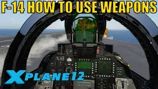 F-14 Tomcat how to use Weapons in X-plane 12