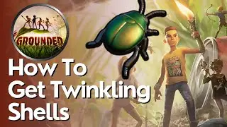 How to get Twinkling Shells in Grounded