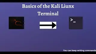The Basics of Kali Linux Terminal