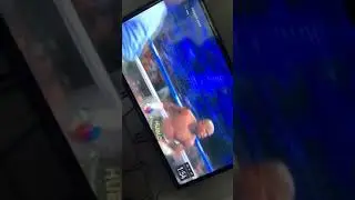 Бой : Floyd Mayweather and Conor McGregor