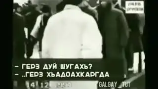 Ма ша Аллах Братья Ингуши , для тех кто говорили мы не братья вот вам , братья единства Вайнахов 🐺✊🐺
