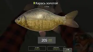 Russian  Fishing 4 /  Русская рыбалка 4 -Фарм для новичков, Вьюнок