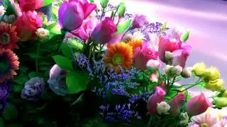 Sleepycoaster ~ Mothers' Day