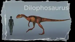 Dino Master : size comparison 2 legs dinosaur