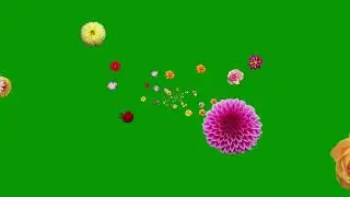 Moving in a #Flower Cluster 😊 Free Green Screen : 3D #Animation #flowers #nature