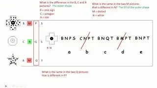 NVR Questions 1 4