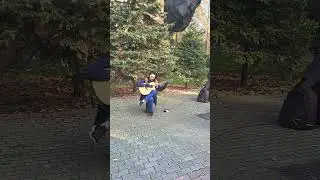 Street musician in the park