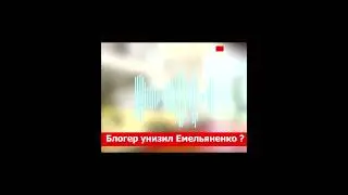 Блогер унизил Емельяненко в бою