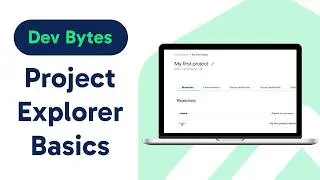 How to use the Project Explorer