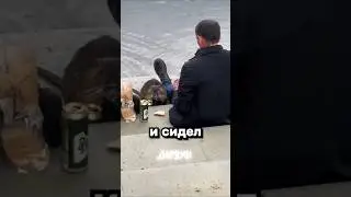 Моя жизнь мечты