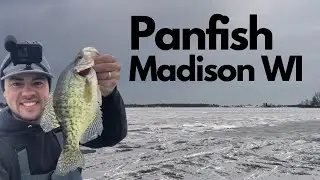 ICE FISHING | PANFISH | MADISON WI | 2023