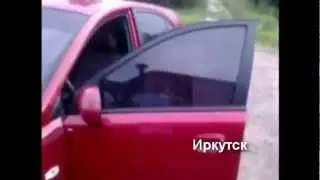 Анонс! Силиконовая тонировка.