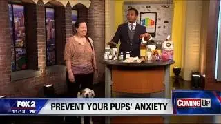 WJBK 6-24-16 FOX2 Detroit Live At 11am: The Pet Beastro Natural Animal Anxiety Remedies