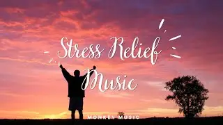 Relaxing Stress Relief Music [ 1 ]||🐵 MONKEY MUSIC