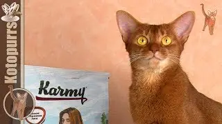 Karmy - new dry cat food  [kotopurrs]