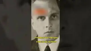 Кого бандеровцы не любили больше всего и почему им было не до "москалей"?