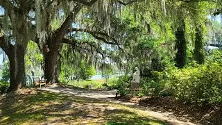 Middleton Place, April 2022