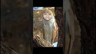 SCARY FACT OF THE DAY | TVBTV TikTok Compilation