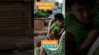 ada yang punya sodara di lampung???