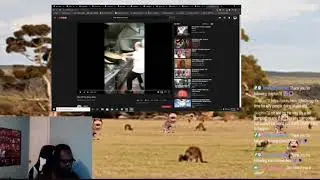 FUNNY *KNOCK KNOCK* PRANK ON STREAMERS! 😂 (FUNNY)