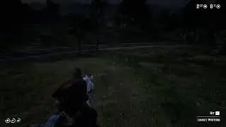 RDR2