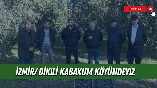 ZEYTİNİN YOLCULUĞU I İZMİR/ DİKİLİ KABAKUM KÖYÜNDEYİZ