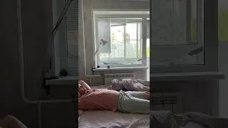 День 166/367 #ищусебя #разбираюсьвсебе #изучаюсебя #цитатадня #мысльдня #безтелефона