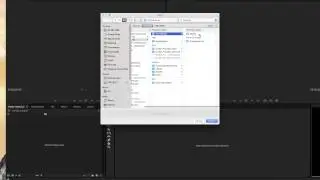 Premiere Pro_Import