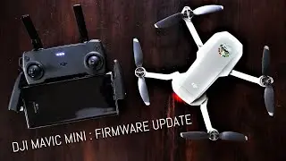 DJI Mavic Mini Firmware Update - Manual Shutter and ISO & 24fps @2.7K & 1080p and 48fps with 1080p