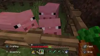 What the hell?!?!