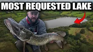 I Finally Got to Fish This Lake - It Didn't Disappoint!