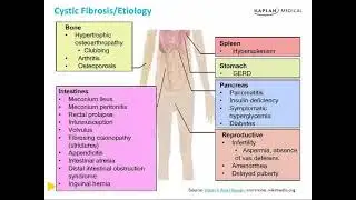 Bronchitis : Chapter 3 Pulmonary
