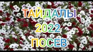 Как правильно посеять петунию серии ТАЙДАЛ
