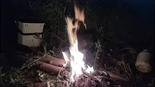 Два глиста за ночь. Неудачная рыбалка