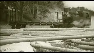 LESNÁ ŽELEZNICA / THE FOREST RAILWAY