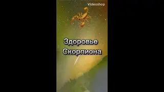 Гороскоп 🌓Астрологический прогноз 🌓Предсказания 🌓Скорпион 🦂Shorts🌓Знаки зодиака