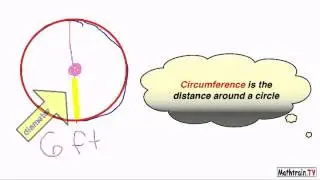 How to Find the Circumference of a Circle