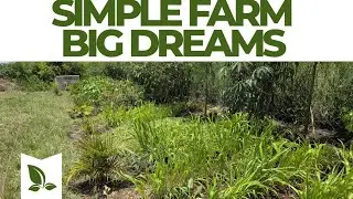 Simple farm, big dreams 