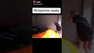 ИСПОРТИЛИ ЛАМБУ? 