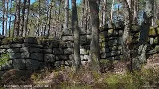 20210404 Mur paien mont Sainte Odile FB