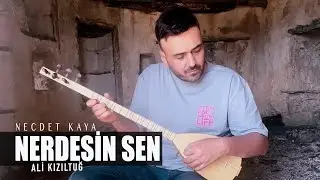 Necdet Kaya - Nerdesin Sen #akustik #alikızıltuğ