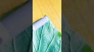 Leaf n it's types