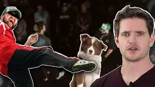 I BATTLED A DOG KICKER (allegedly)